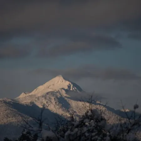 Berg & Sonne Διαμέρισμα Seeboden