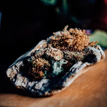 Berg & Sonne Διαμέρισμα