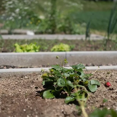 Berg & Sonne Διαμέρισμα *