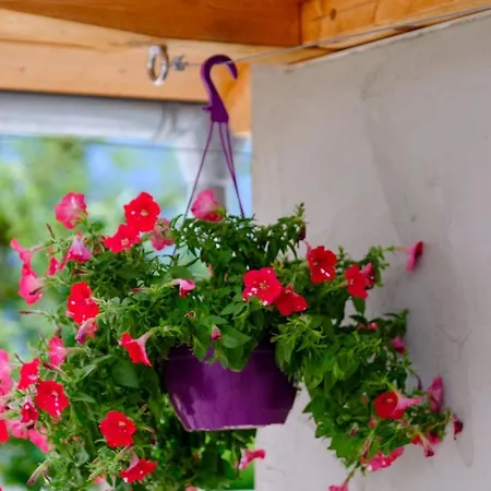 Berg & Sonne * Seeboden