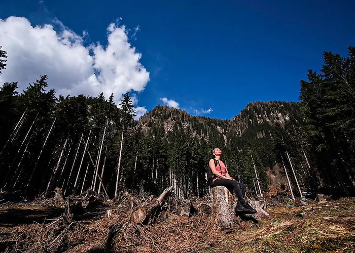 Berg & Sonne * Seeboden