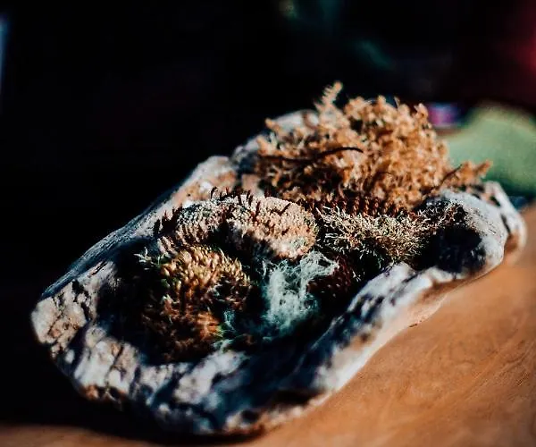 Berg & Sonne Apartament