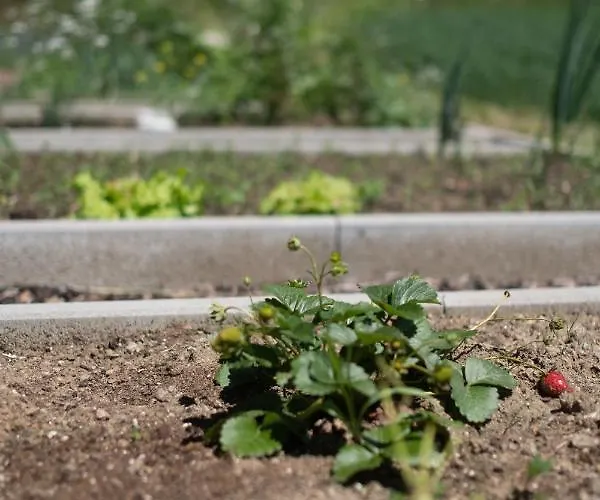 Berg & Sonne Apartament *