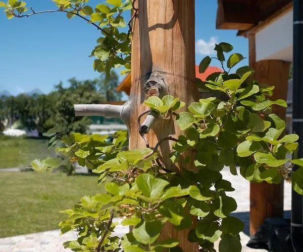 Berg & Sonne Apartament Seeboden