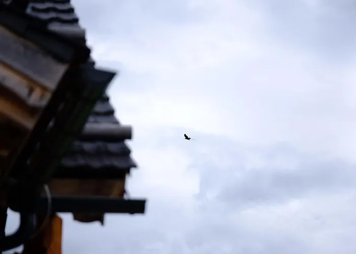 Apartament Berg & Sonne